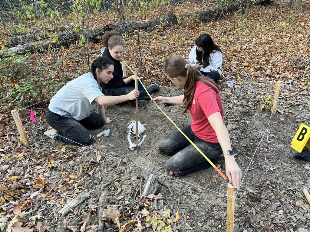 Image 2 of students studying skeletal remains at a fenced protected site