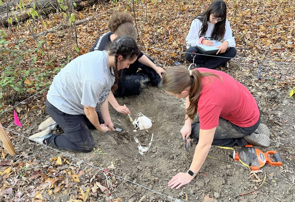 Forensic and archaeological research conduction at the Body Farm